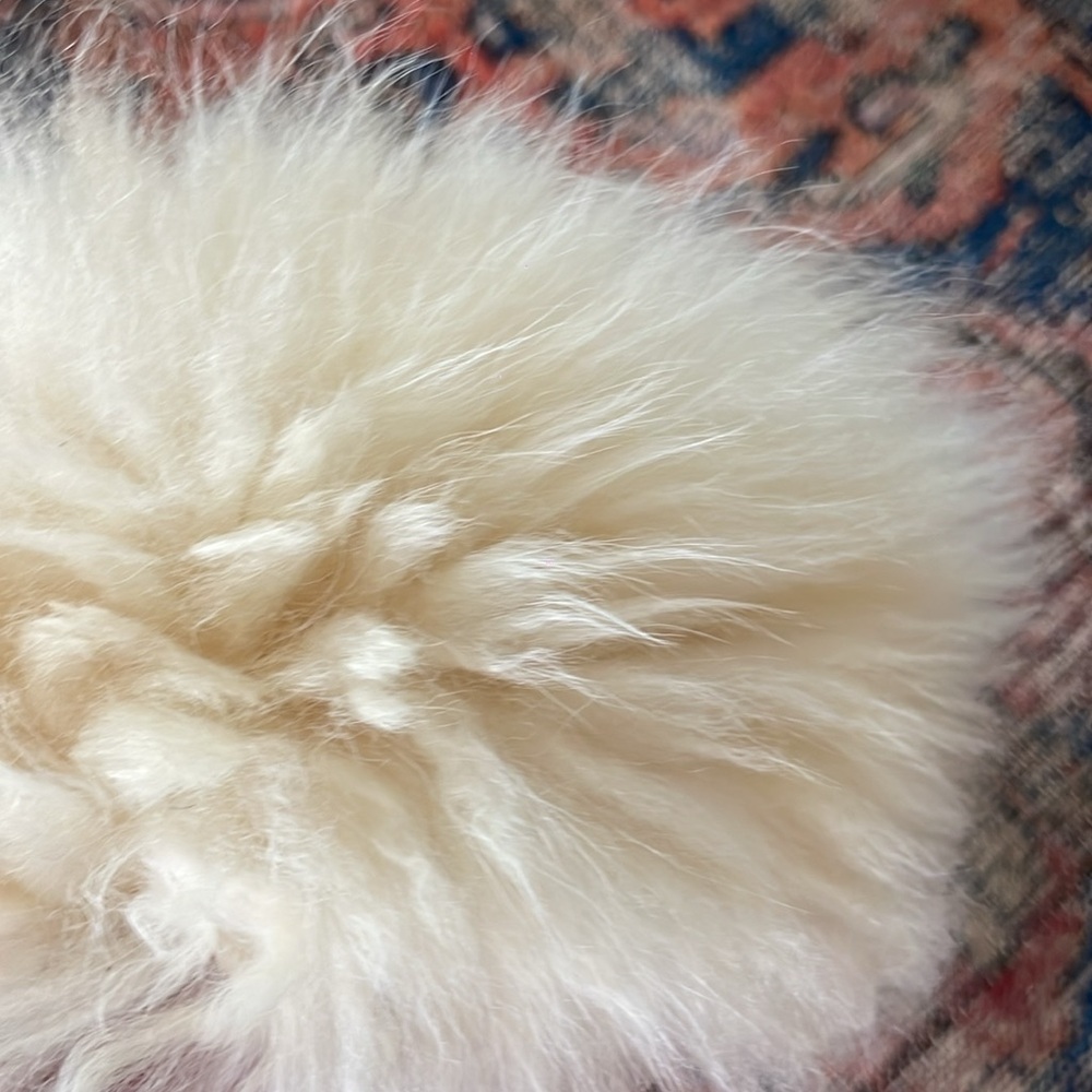 •| vintage fluffy pillbox - Picture 6 of 7
